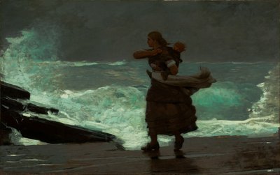 De storm door Winslow Homer